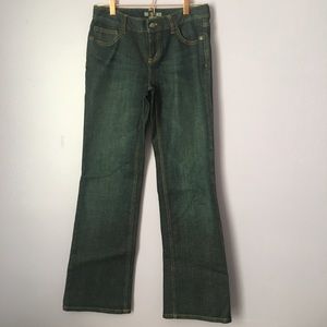 Ann Taylor Jeans